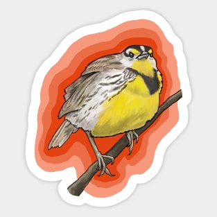 Anger Bird Sticker